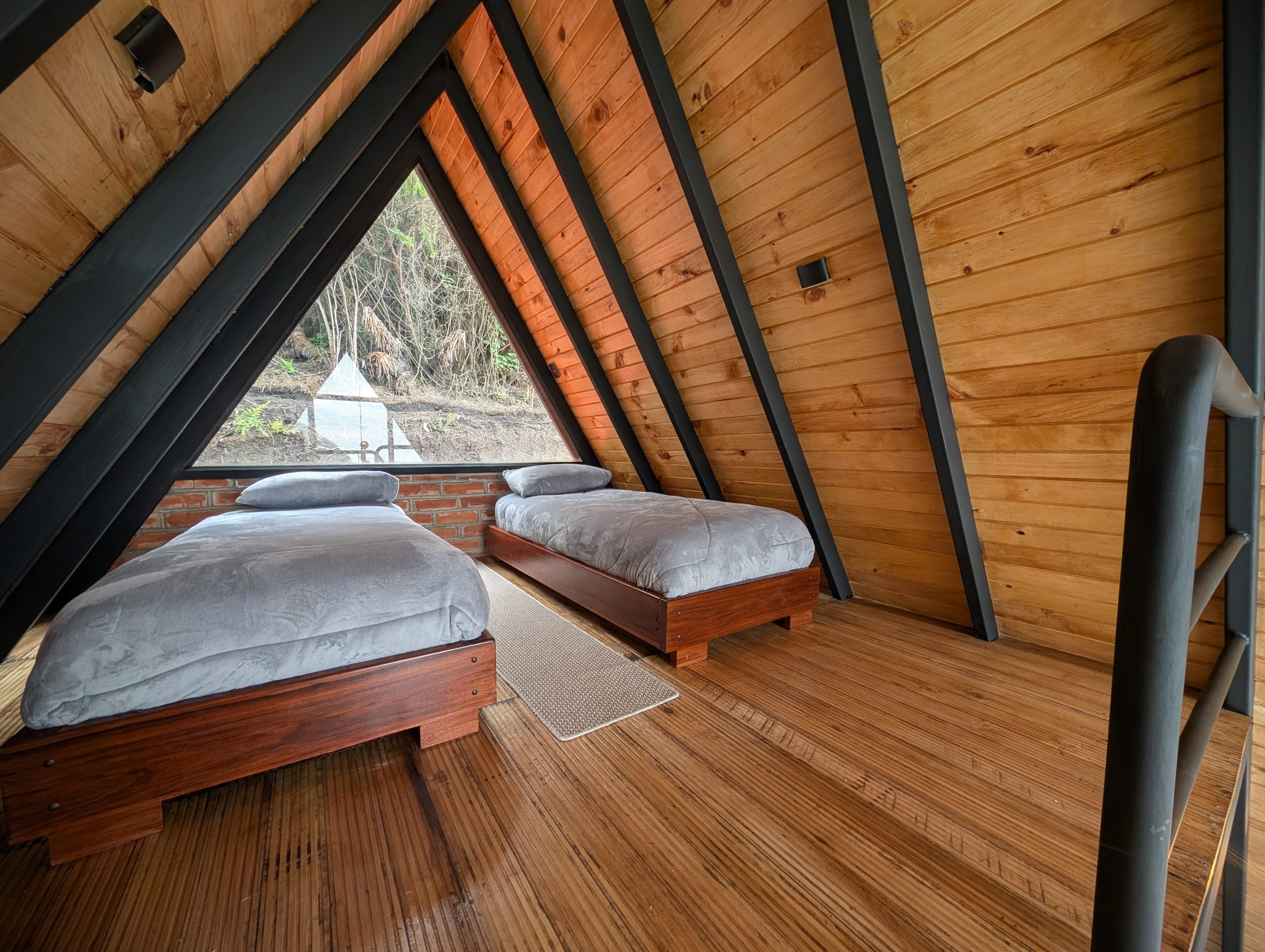 PXL_20250208_175851214